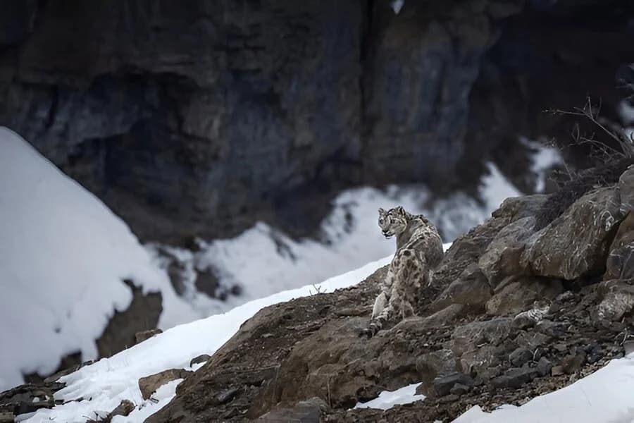 Pin Valley National Park