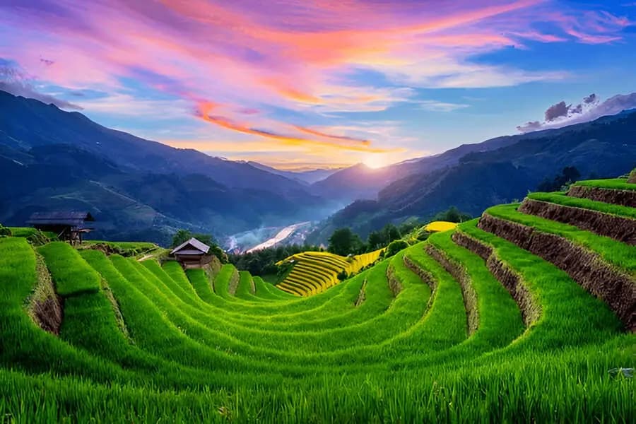 Best Things to Do in Vietnam in May