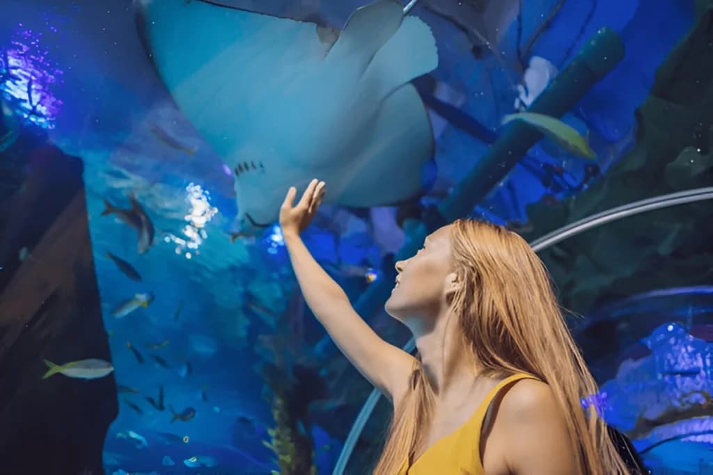 Do Fun Activities in Dubai Aquarium & Underwater Zoo