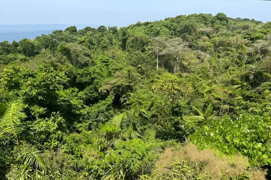 Mount Harriet National Park